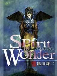 Spirit of Wonder